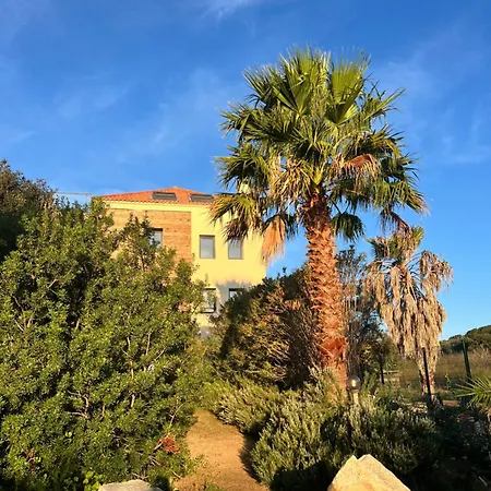 Casa 115 - & Piscine Chauffee Lägenhet Pianottoli-Caldarello (Corsica)