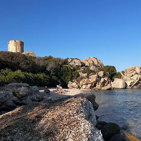 Casa 115 - & Piscine Chauffee Pianottoli-Caldarello (Corsica)