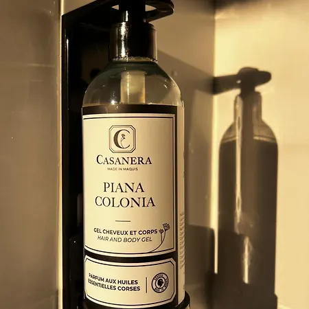 Casa 115 - & Piscine Chauffee Pianottoli-Caldarello (Corsica)