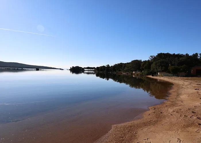 Casa 115 - & Piscine Chauffee 公寓 皮诺托里卡尔达雷洛